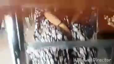 Watch HIJAB EKSIB